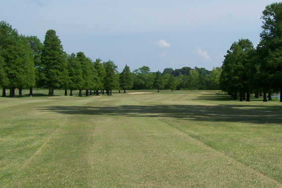 A view from Cypress Tree Golf Course