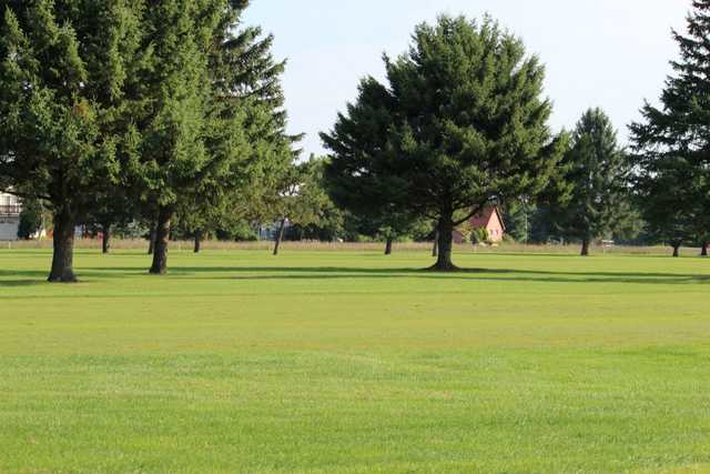 Little Pine Nine at Pine View