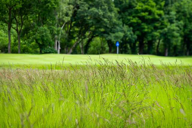 View of a green from Trentham Park Golf Club.