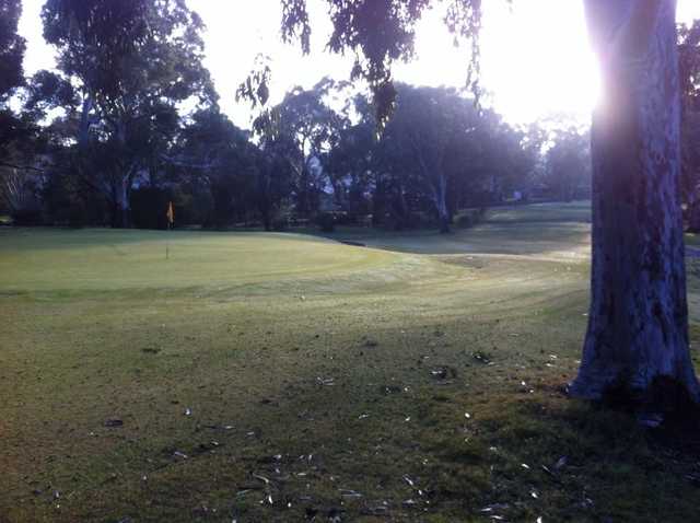 A view of a green at The Vines Golf Club of Reynella
