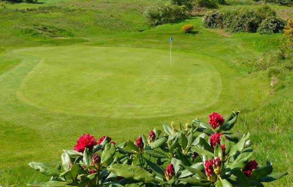 A view of the 7th hole at Coxmoor Golf Club