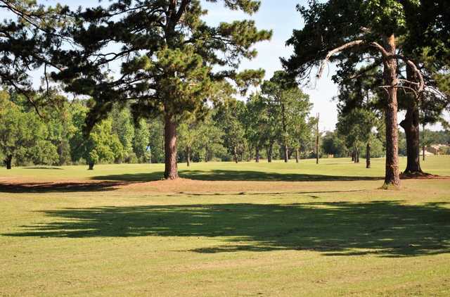 Course Image