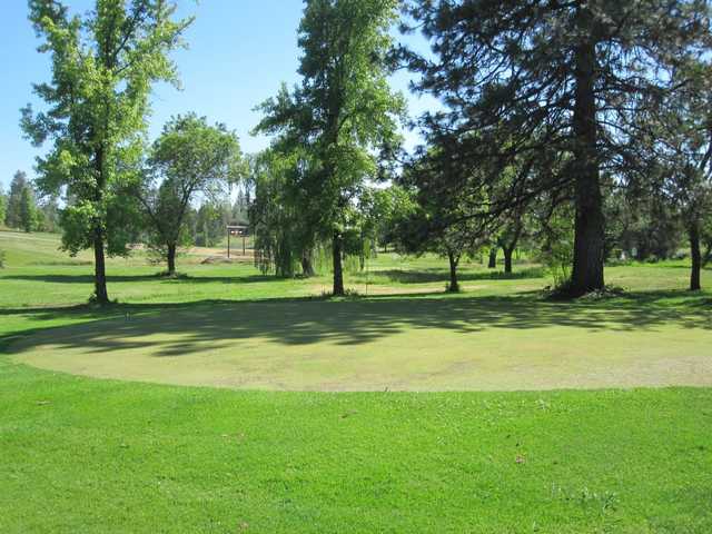 Gator Creek Golf Course