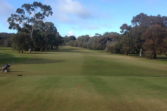 A view from a tee at The Vines Golf Club of Reynella