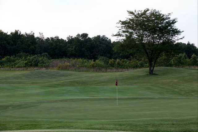Course Image