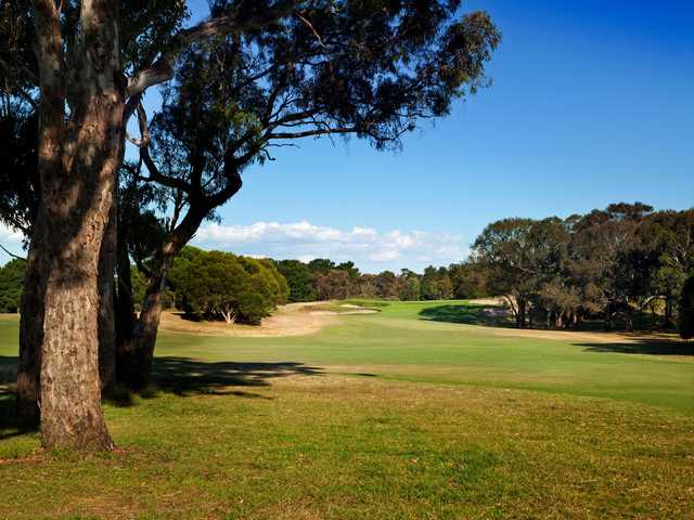 Curlewis Golf Club