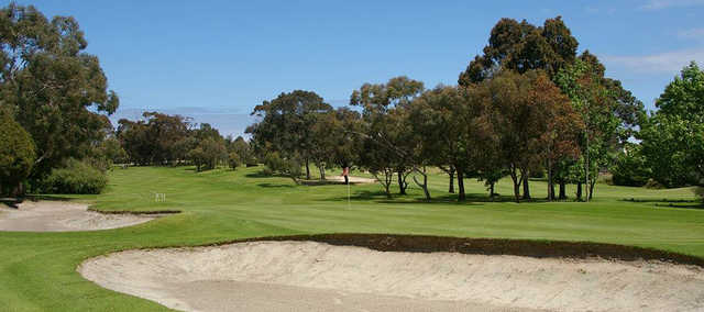 View of a green at Brighton Public Golf Course.