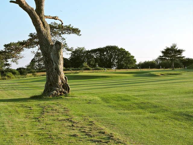 Wareham Golf Club