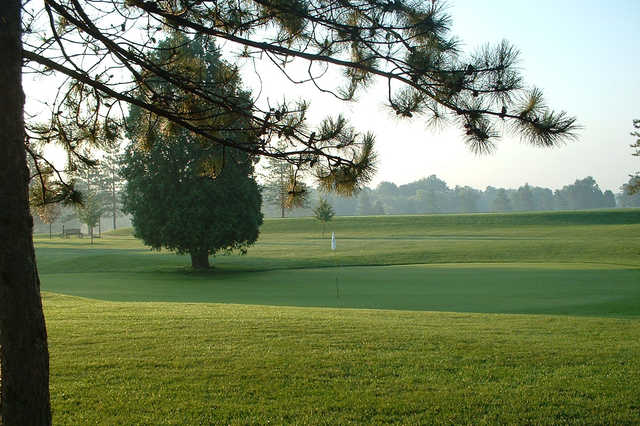 Course Image
