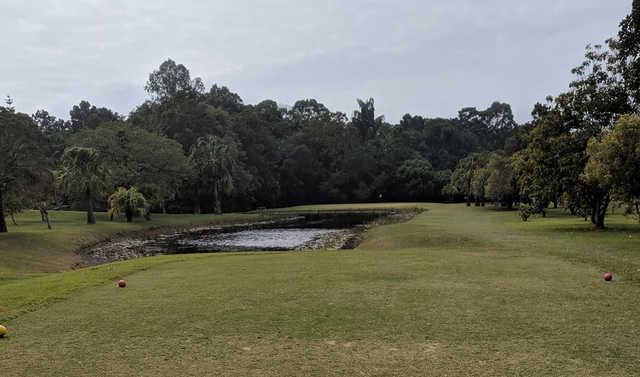 A view from a tee at Noosa Valley Golf Club (Jay Jay).