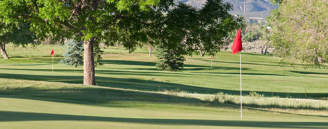 Course Image