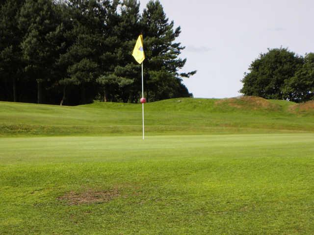 Course Image