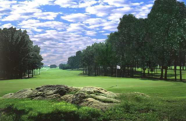 Course Image