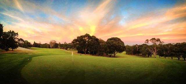 View of a green at The Vines Golf Club of Reynella