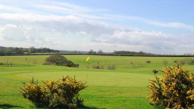 Ash Valley - Little Links