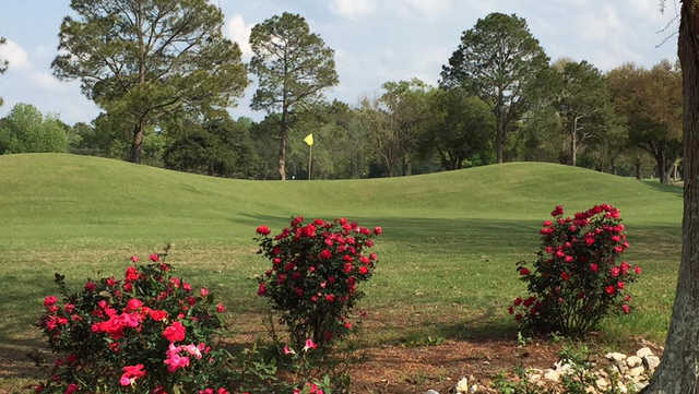 Course Image