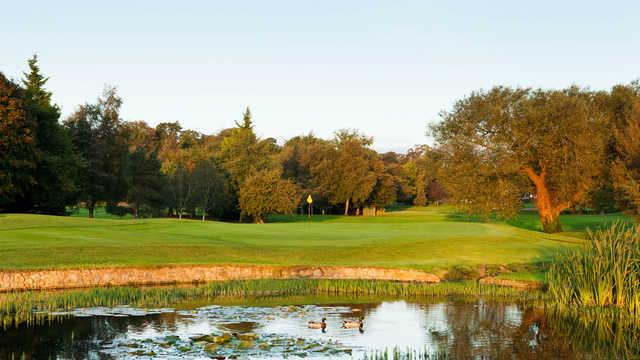 A view of a green with water coming into play at Rathfarnham Golf Club.