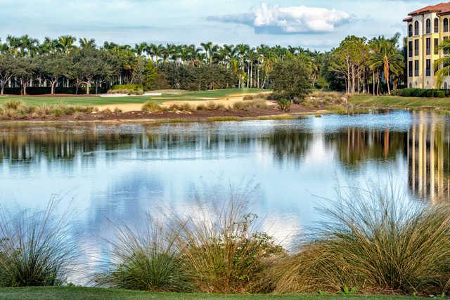Tiburon Golf Club - Gold Course