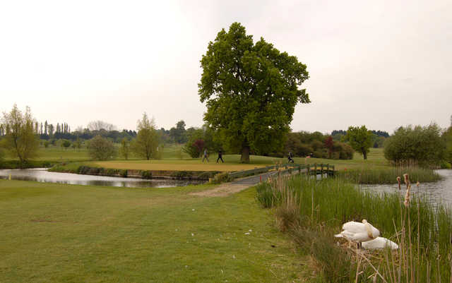 Course Image