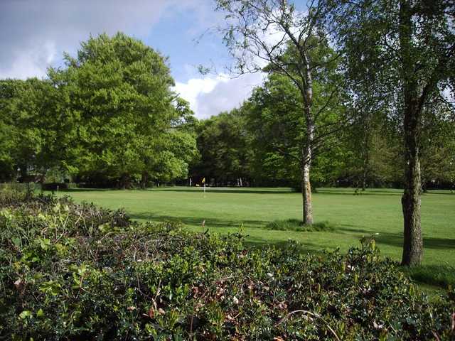 Green from Kirkby Valley Golf Club.