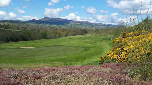A view of a green at Mitchelstown Golf Club.