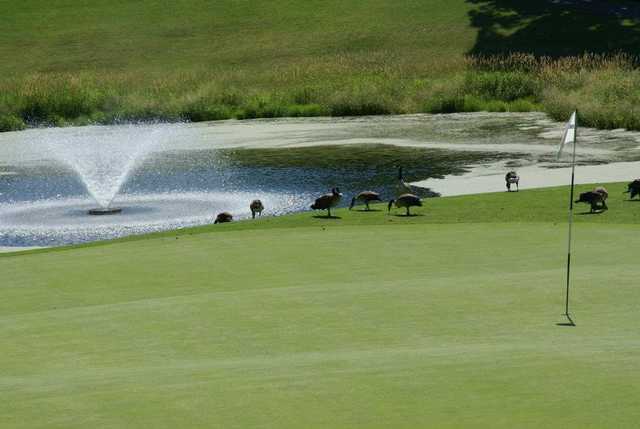 Baker National Golf Course