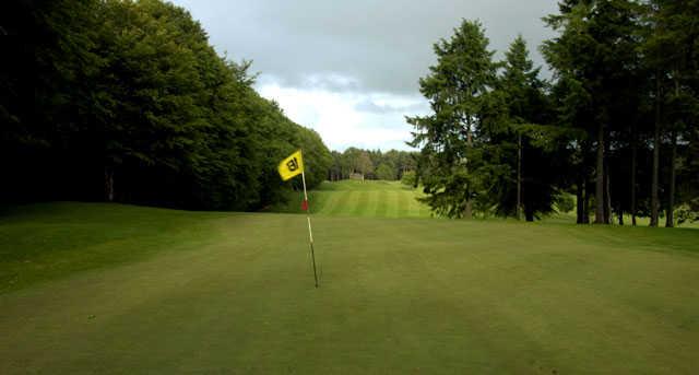 A view of hole #16 at Portumna Golf Club