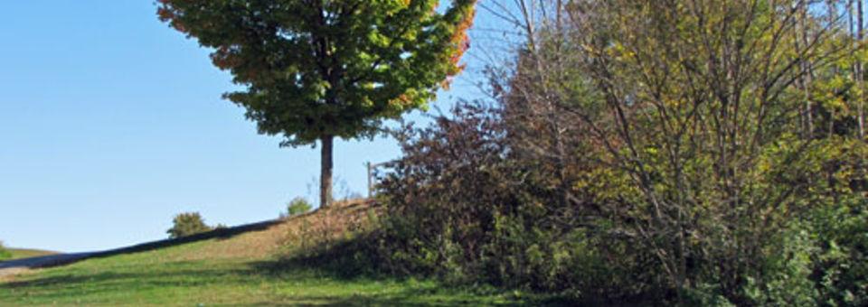 Bluff Creek Golf Course