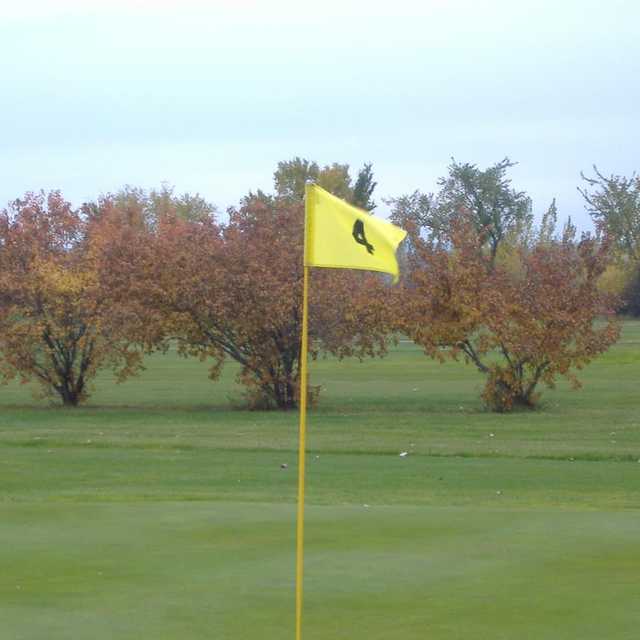 Course Image