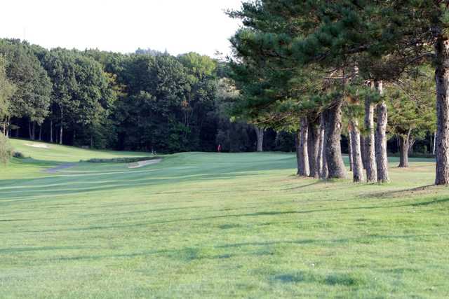 Course Image