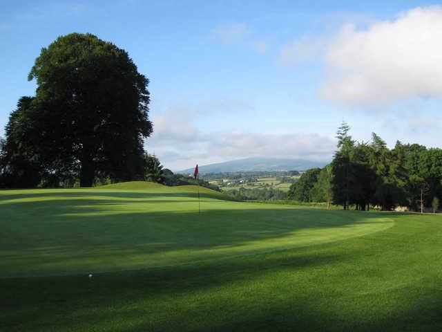 View from 1st Green Borris Golf Club (Art O'Leary)