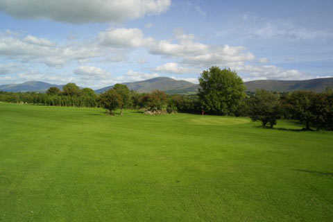 A view from fairway #2 at Carrigleade Golf Course