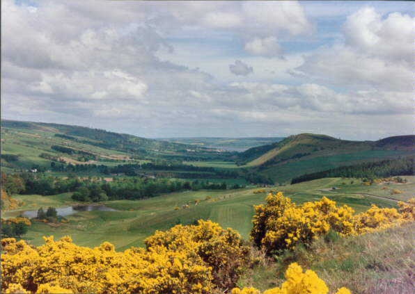 Strathpeffer Golf Club: 10th tee