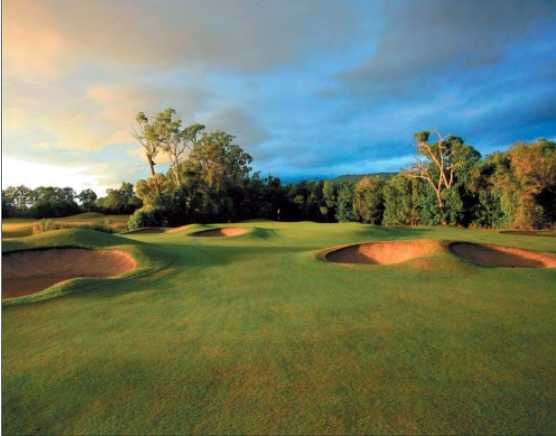 A view of green at Palmer Sea Reef