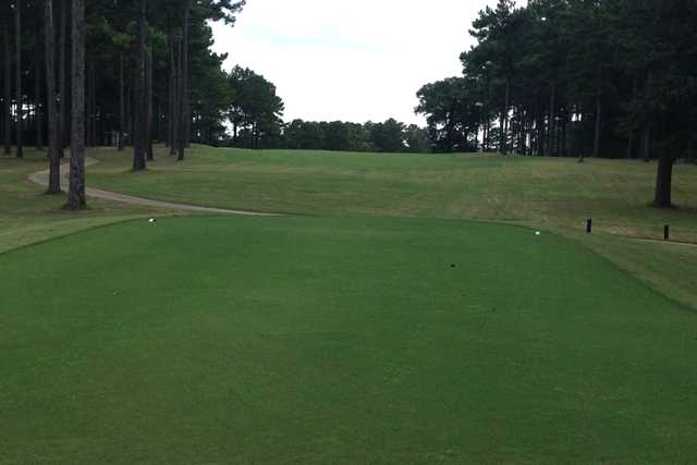 A view from a tee from The Bridges at Tartan Pines.