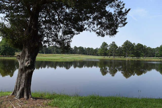 A view from Indian Pines Golf Course