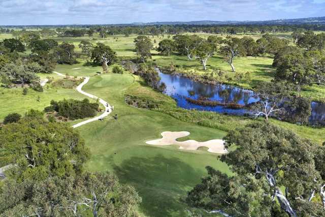 Growling Frog: aerial view