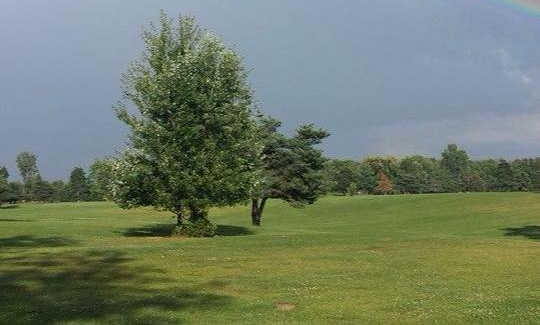 Turtle Creek Golf Club