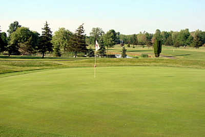 Course Image