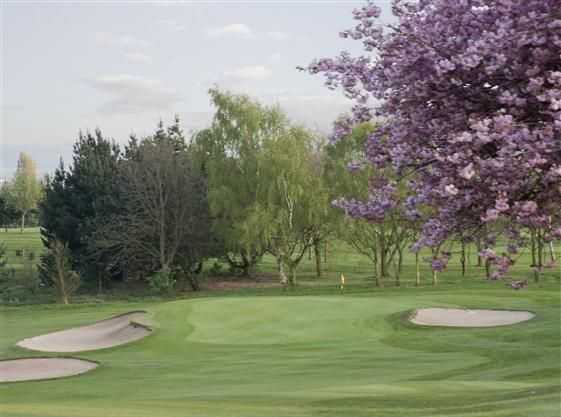 Course Image