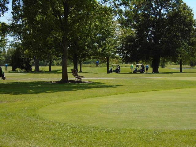 A sunny day view from Coyote Creek Golf Club
