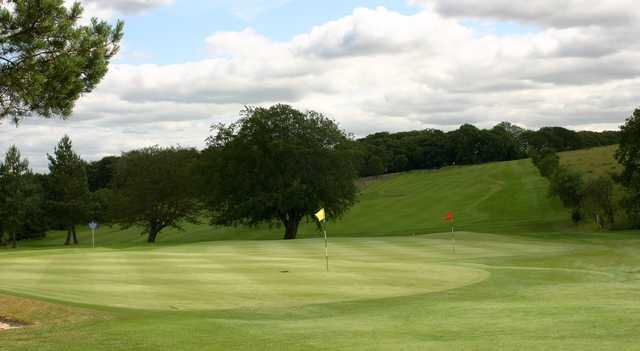 Mt. Ellen GC: #1 & #17