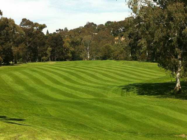 View from a fairway at Yarra Bend Golf Course.