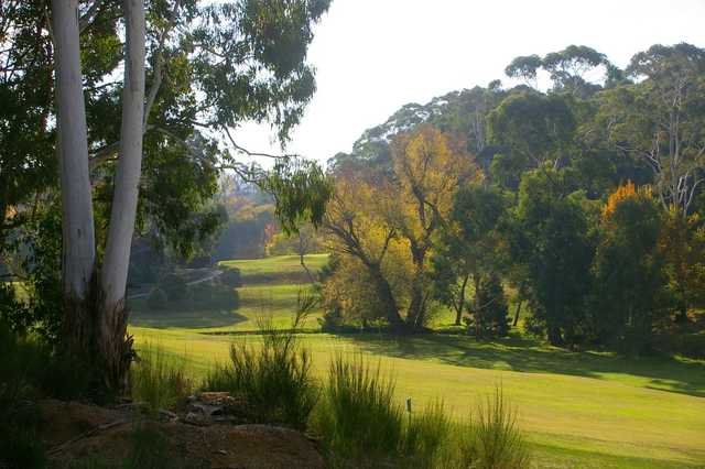 A sunny view from Mount Lofty Golf Club.