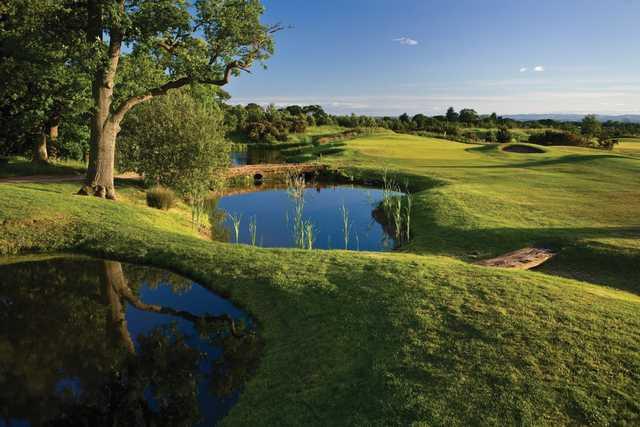 A look at one of the numerous hazards on the Nicklaus Course at Carden Park