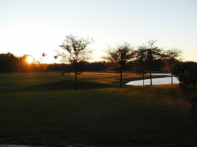 Tampa Bay - 9 Hole - Par 3 Short Course