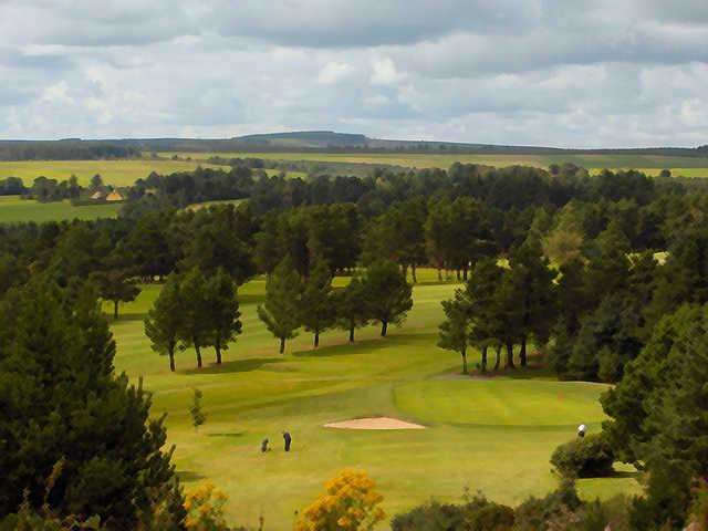 A view of a green guarded by a bunker at Fermoy Golf Club.