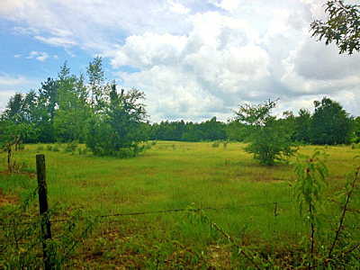 New Ellenton Golf Course
