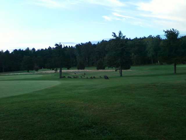 Course Image