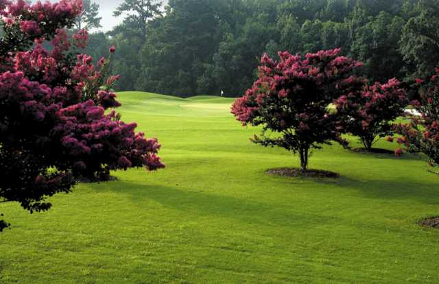 Brays Island Plantation